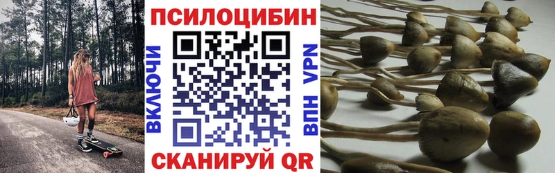Галлюциногенные грибы Psilocybe  Советск 